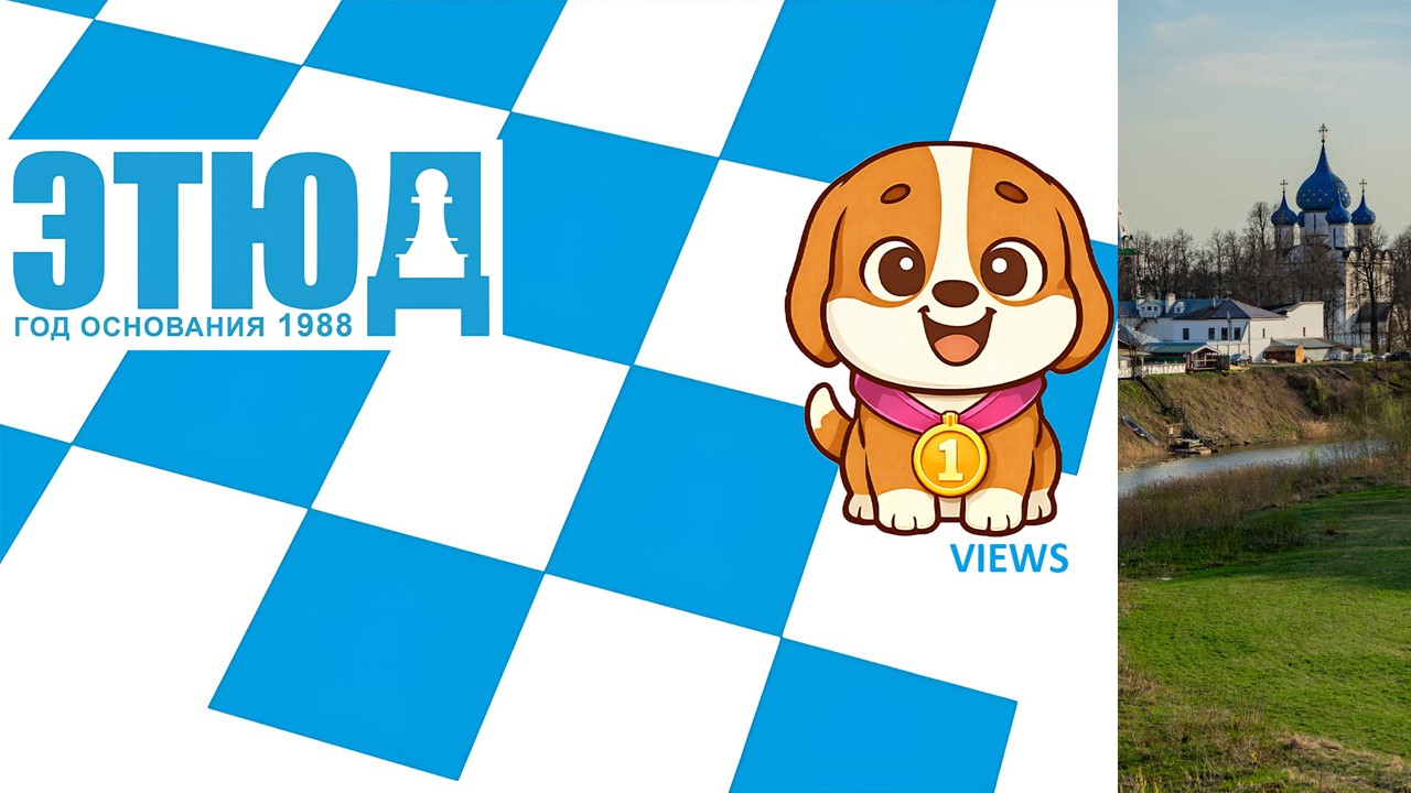 ШАХМАТНАЯ ШКОЛА 